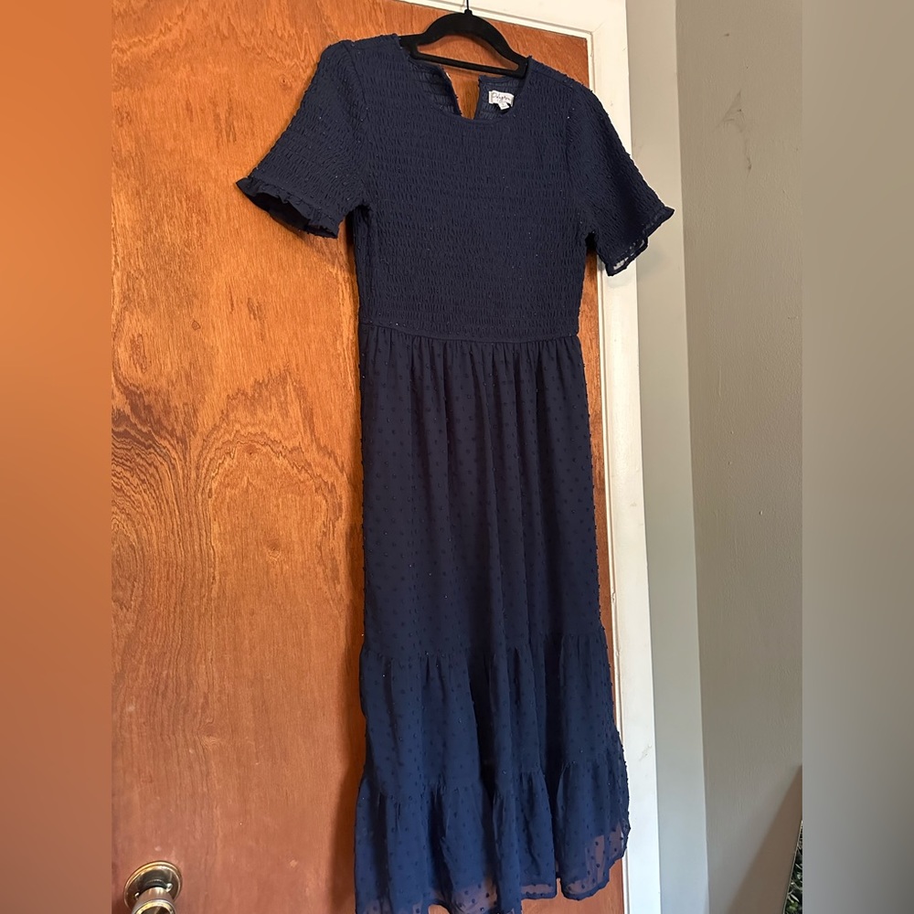 Fehrnvi navy dress